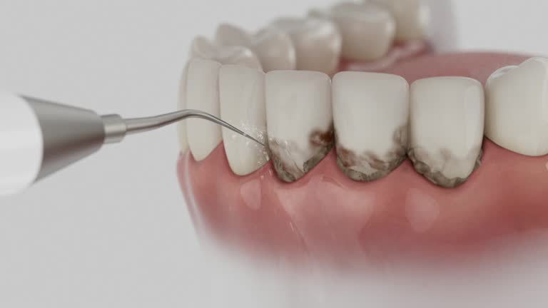 Reliable Dental contractor in Albertville, AL by Dentist Open Now